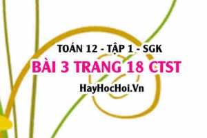 Bài 3 trang 18 Toán 12 tập 1 Chân trời sáng tạo